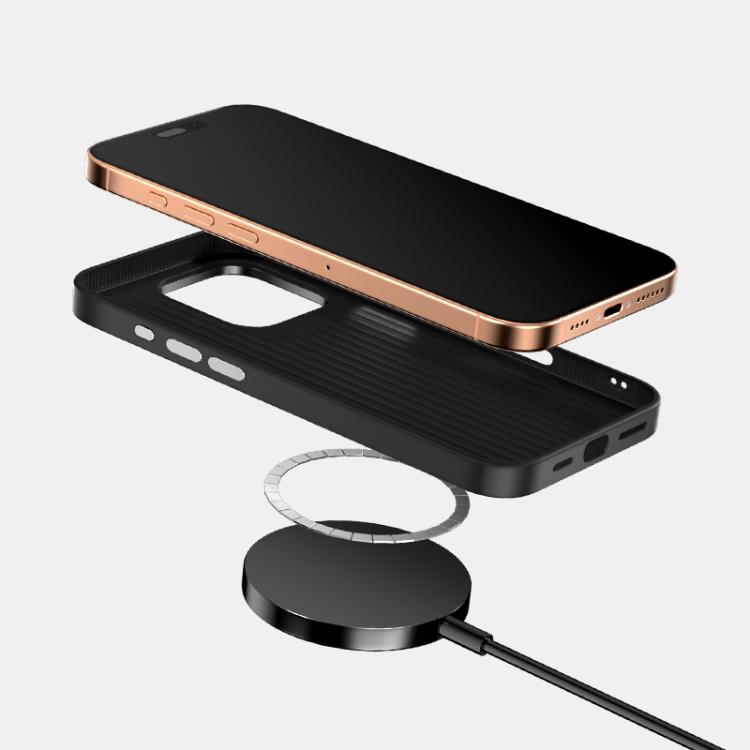 ABEEL Ruyi Pattern 6D Micro Relief MagSafe Leather Phone Case, For iPhone 15������...