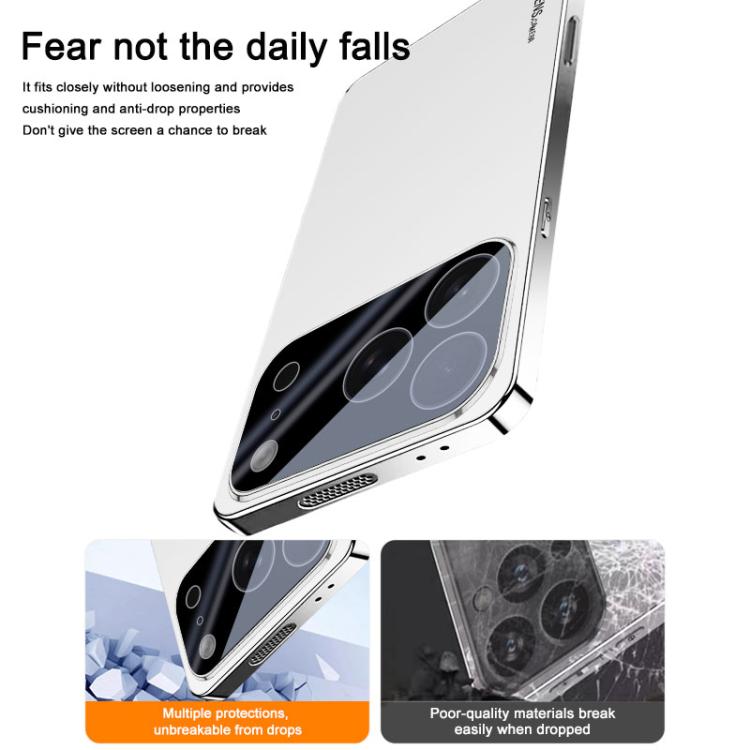 AG Frosted Electroplating Acrylic Phone Case, For iPhone 17 Pro Max���������������...